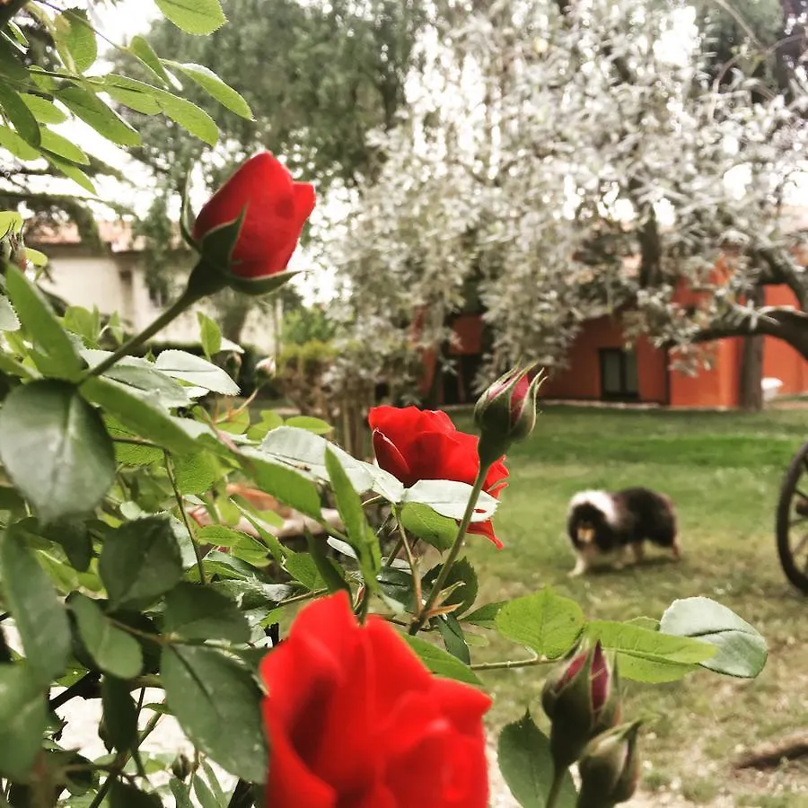 Вилла Ca' Boschetto Бассано-дель-Граппа 0*,